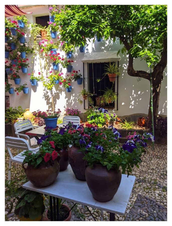 Casa Rural "Laplaza23" Herrera del Duque ภายนอก รูปภาพ