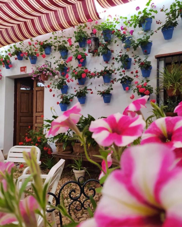 Casa Rural "Laplaza23" Herrera del Duque ภายนอก รูปภาพ