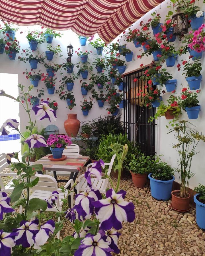 Casa Rural "Laplaza23" Herrera del Duque ภายนอก รูปภาพ